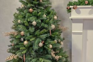 Fijne feestdagen en een gelukkig 2024!