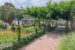 Prachtige tuinen van Humanitas Deventer